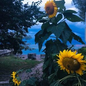 Meet your Posher, Janet